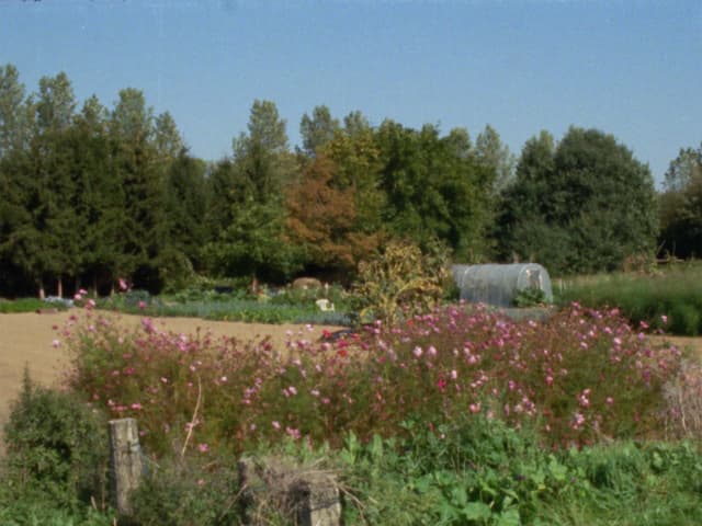 Lomme´s garden