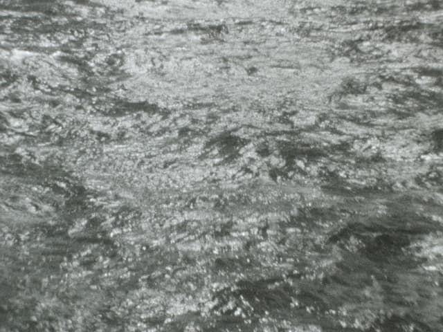 Pollux